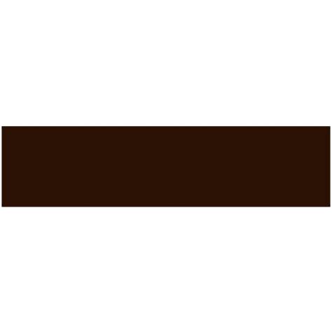 htconline.in| FLAME Acrylic Spray Paint 400ml Chocolate FB710