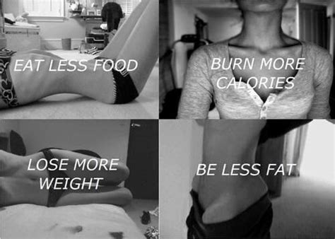 Image result for Blog Pro Ana