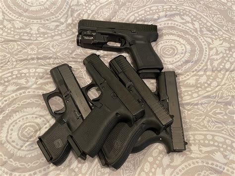 How Fast Do Rabbits Multiply 的图像结果