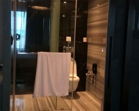 NOVOTEL CHENNAI CHAMIERS ROAD (Chennai (Madras)) - Hotel Reviews ...