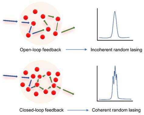 Lasing from Micro- and Nano-Scale Photonic Disordered Structures for ...