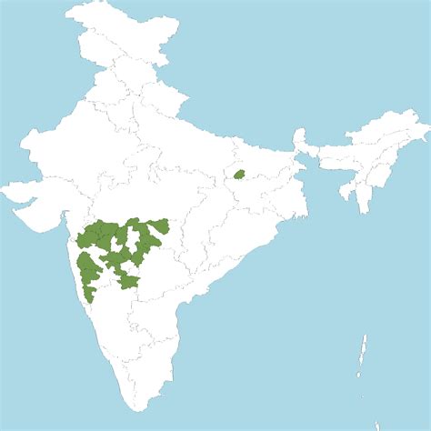India Flora Online