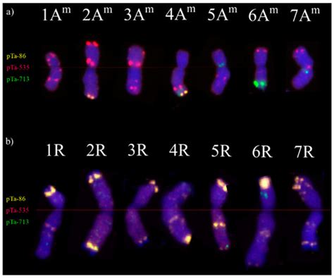 Plants | Special Issue : Chromosome Engineering in Plants: Genetics ...