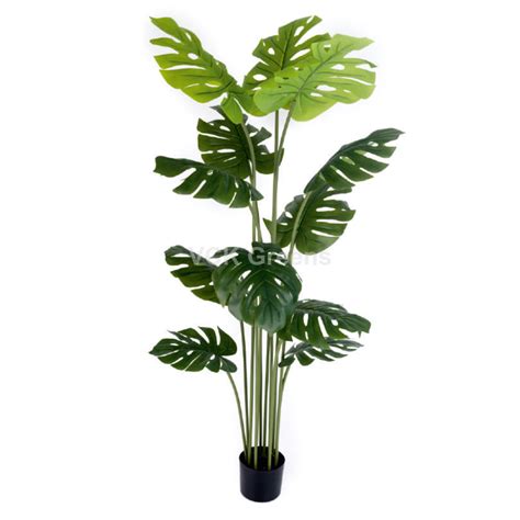 Artificial Monstera Plant 5ft With Pot – VCK Greens