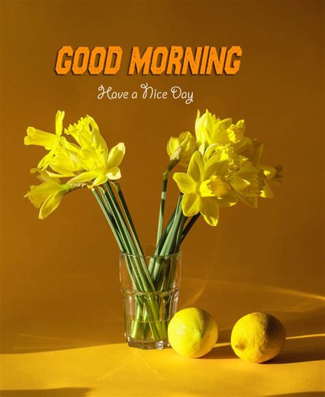100+ Good Morning Wishes – Yellow Flowers Images - Good Morning Wishes ...