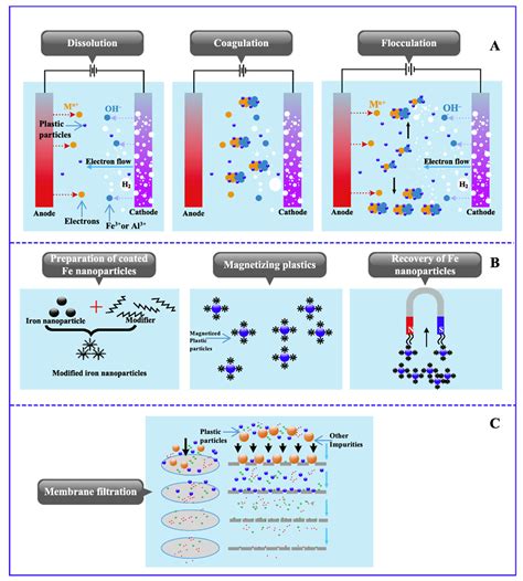Advancements and Regulatory Situation in Microplastics Removal from ...