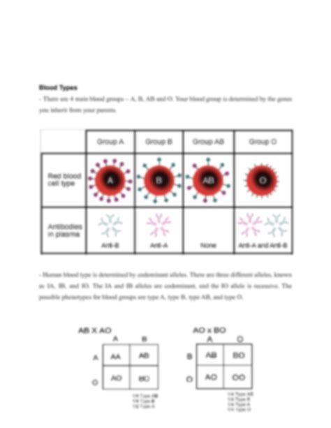 SOLUTION: Inheritance punnett squares blood types gender determination - Studypool