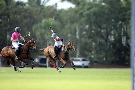 Prensa Polo | Polo de Argentina y Mundial