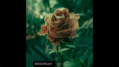 Image result for Sjava Dali Song