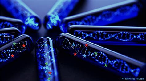 Image result for Gene Expression Reprogramming