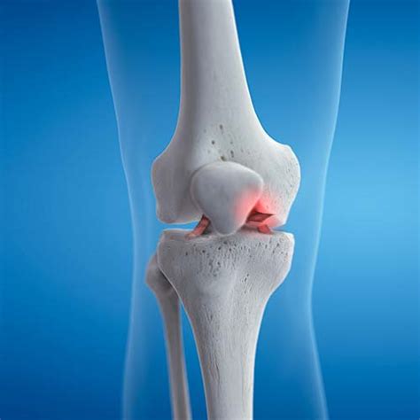 N R Clinic - Home - Gynaecologist & Obstetrician Doctors in Cambridge ...