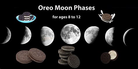 Oreo Moon Phases