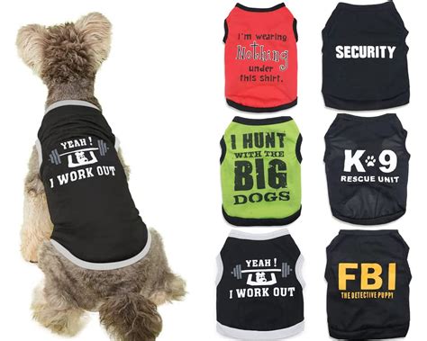 Are Chihuahua Dogs Good With Cats