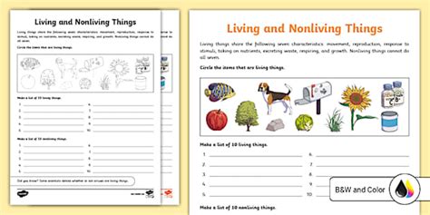 Living and Nonliving Things Worksheet | Science | Twinkl USA