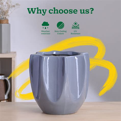 Tranquil Tales Ceramic Planter – Ugaoo