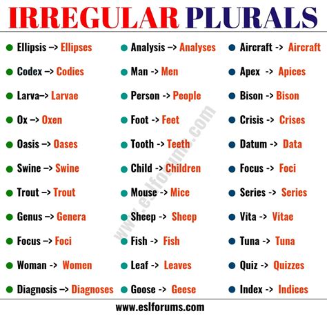 Singular and Plural Nouns Examples - KolerosCopeland