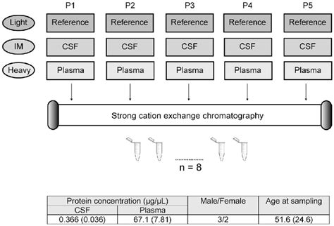 CSF Flow Chart 的图像结果