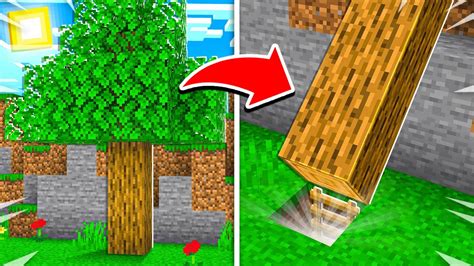Image result for Code Plus Secret Dans Minecraft