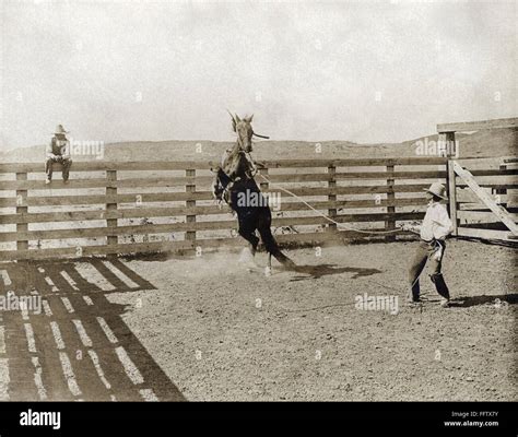 TEXAS: COWBOY, c1907. /nA cowboy breaking a horse in a corral on the LS ...