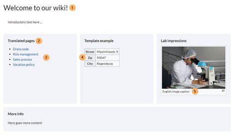 Multilingual wiki (single wiki) - BlueSpice Helpdesk