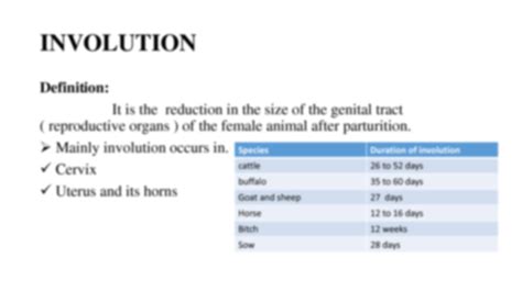 Image result for Uterine Involution