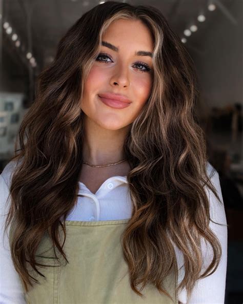 60 Hairstyles Featuring Dark Brown Hair with Highlights for 2024 ...