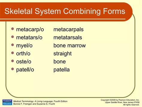Ch04 musculoskeletal system | PPT