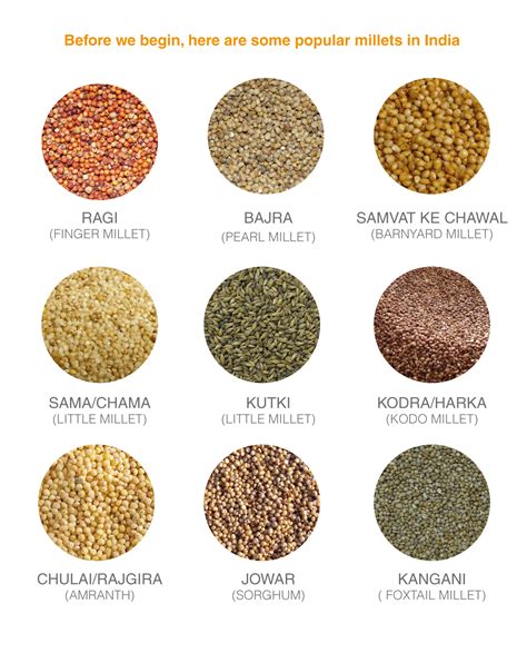 millets list in hindi Unknown fact about millets – wow sooru ...