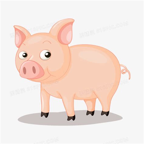 猪年来了，说说区域公用品牌“金华两头乌猪”的起伏兴衰_养殖