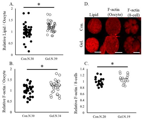 Beneficial Effect of Polysaccharide Gel Made of Xanthan Gum and Locust ...