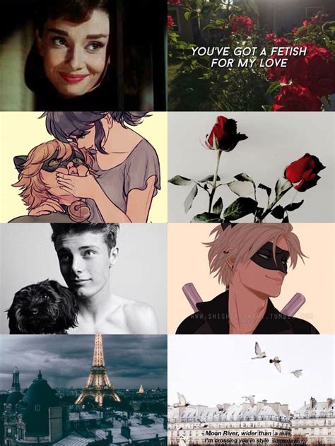 Image result for Real Ladybug