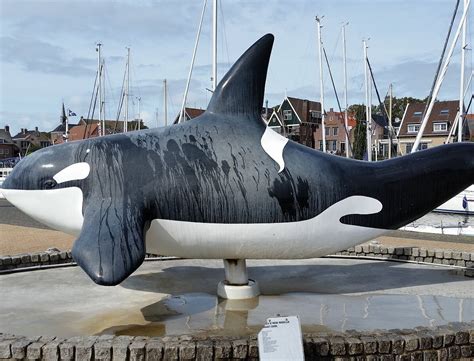 DE ORCA (2026) All You Need to Know BEFORE You Go (with Reviews ...