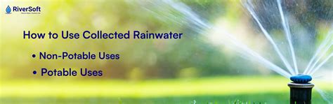 Rainwater Harvesting for Homes: Storage and Filtration