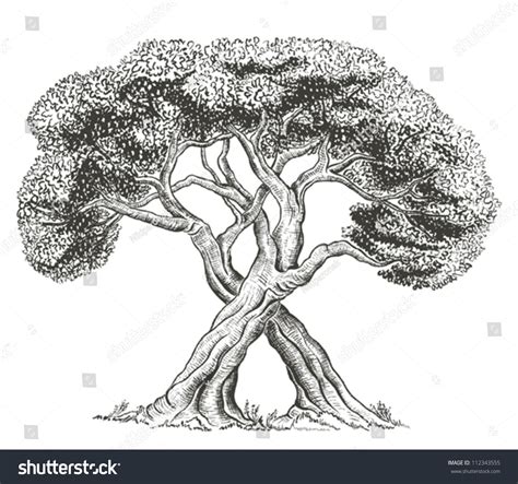 Image result for Interlinked Tree