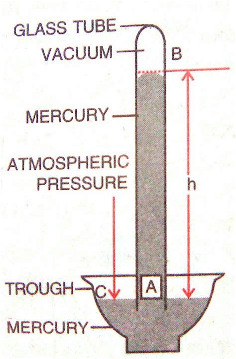 working of a simple barometer - Brainly.in