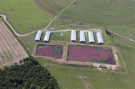 Animal Agriculture 的图像结果