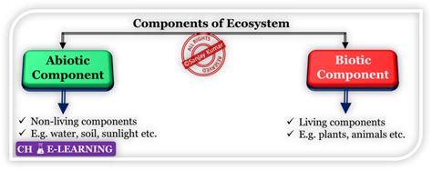 Ecosystem Structure 的图像结果