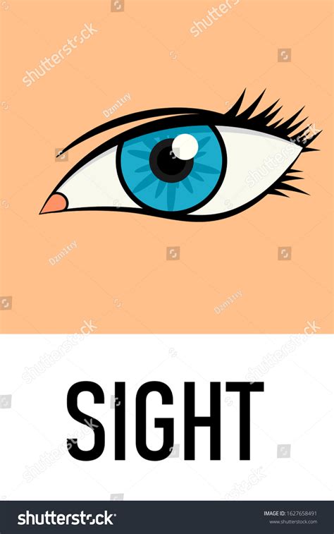 Sight ClipArt 的图像结果