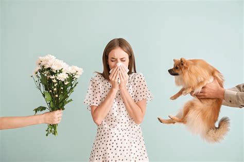 Allergy & Asthma In North Logan, UT | Cache Valley ENT