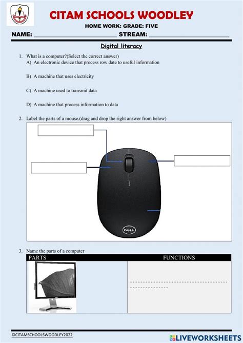 Computer Mouse Worksheet 的图像结果