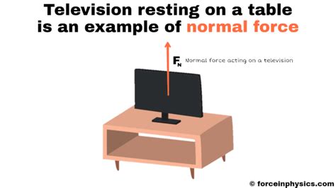 Image result for normal force examples