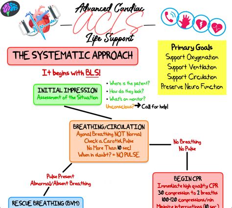 Image result for ACLS For Dummies