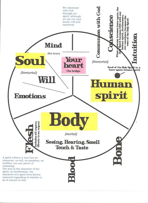 Your Cheerfulness Shows The Generosity Of Your Soul