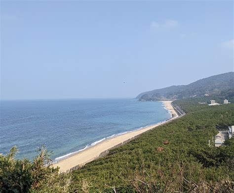 Orihata Jinja Shrine, Where Cutie Cats Await Worshippers