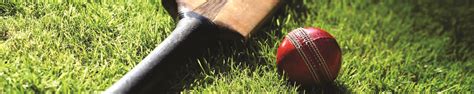 Amazon.in: SAS SPORTS: CRICKET