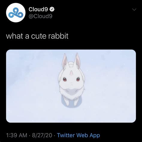 Image result for Monty Python Rabbit Meme