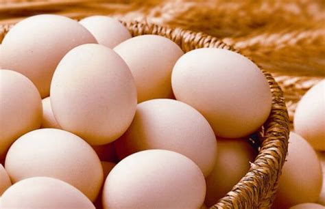 吃鸡蛋的人和不吃鸡蛋的人有什么区别 - 早旭经验网