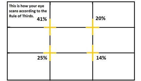 What is Visual Hierarchy? | Importance & Key Principles