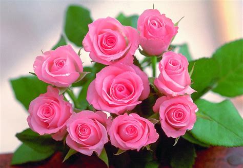 玫瑰花界的愛馬仕！《Flower Flower花的》獨家限量推7款玫瑰花禮，20朵玫瑰象徵愛你的浪漫情意