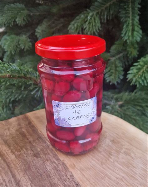 Image result for Compot Coarne Fructe